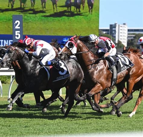 Randwick Guineas 2024 Results: Celestial Legend Nudges out .